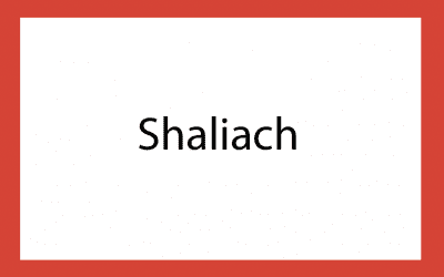 Shaliach